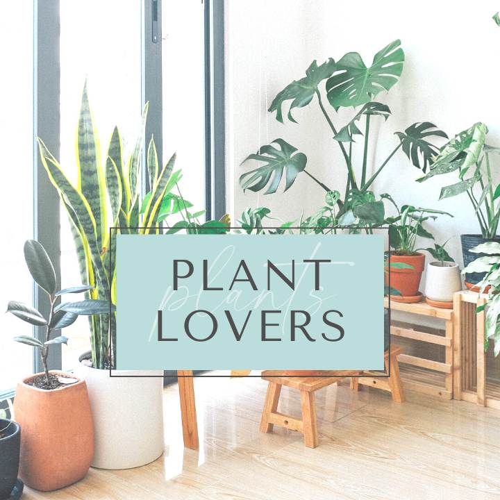 Plant Lovers